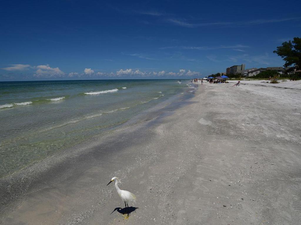 Gulf Retreat 2: Magnificent Water Views, Steps To Beach, None Cleaner, None Nicer! Clearwater Beach Kültér fotó